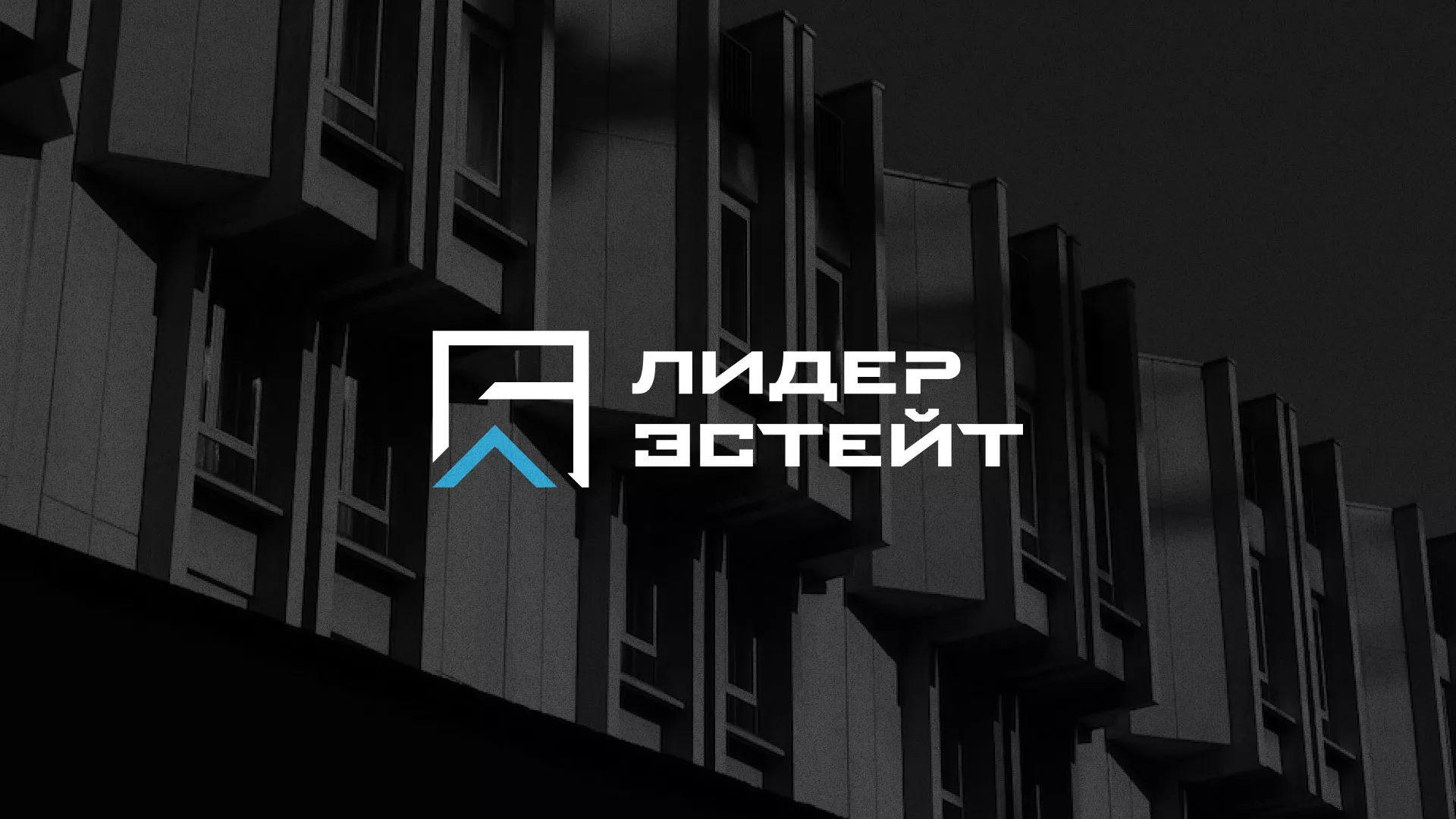 Разработка логотипа агентства недвижимости «Лидер Эстейт» в Серове